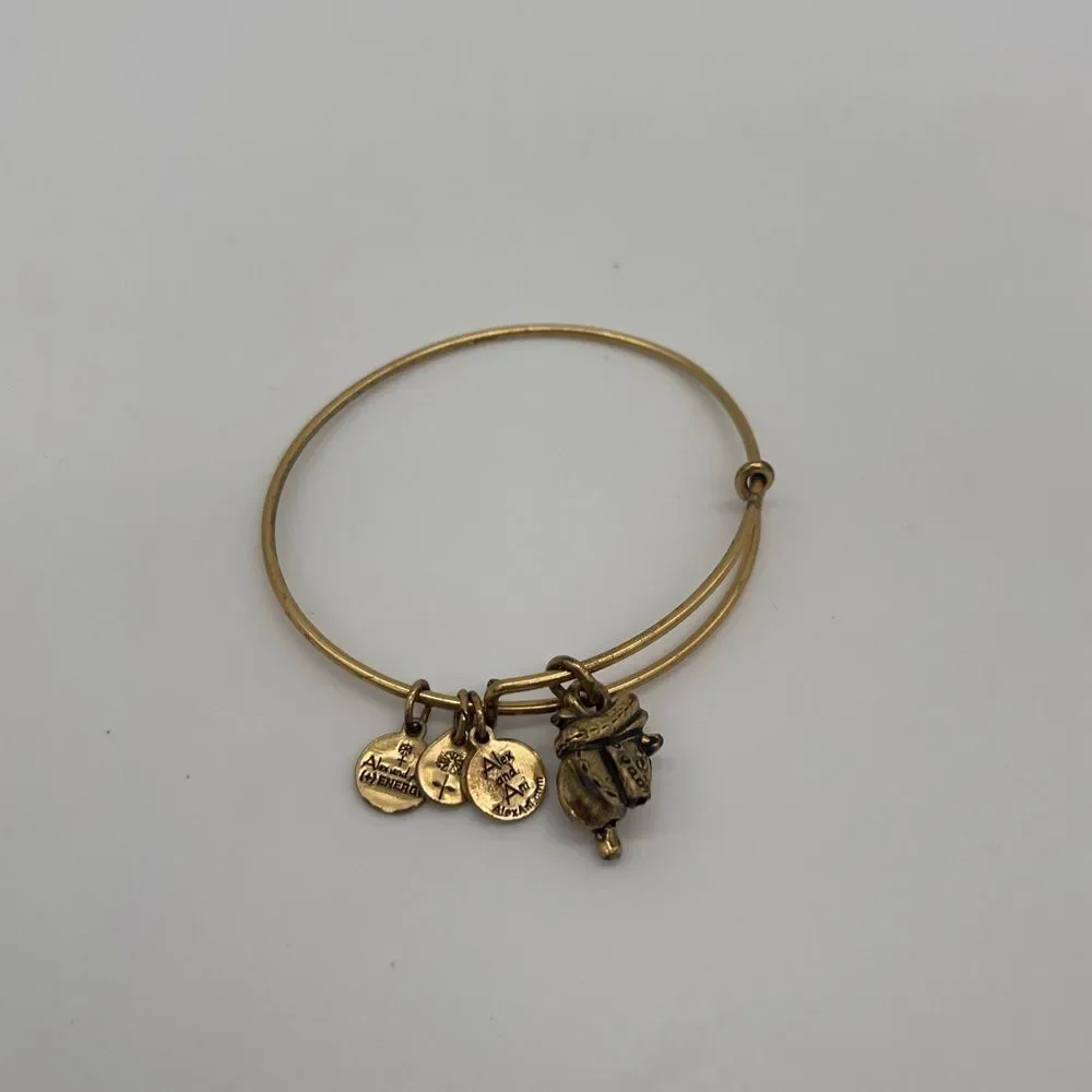 Alex and Ani Saddle Bangle
